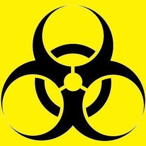 Meet your Posher, Nina